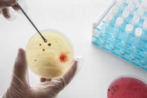 fecundación in vitro en España